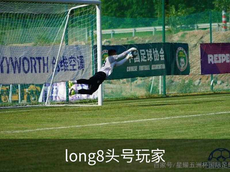 long8头号玩家概况